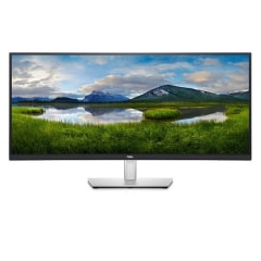 Dell 34 geschwungener USB-C-Monitor 34.14 Zoll (86.72 cm) (P3421W)