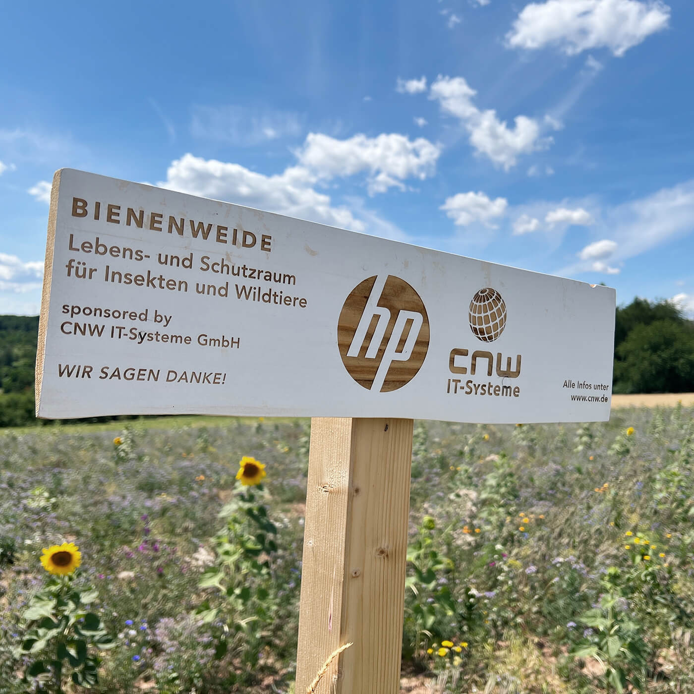 Bieneweide - Bienenahrung 2023