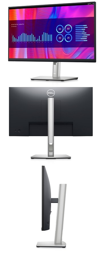 Dell Monitor 23.8 Zoll (P2423DE)