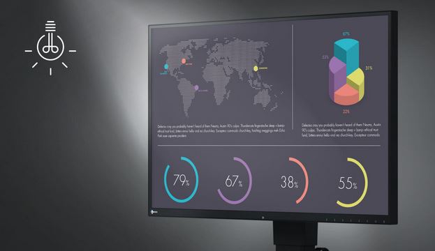 EIZO FlexScan EV2451 Entspiegelung